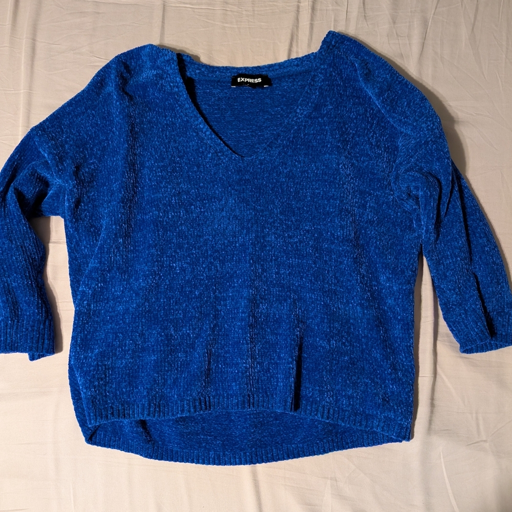 Express Women's Blue Sweater
